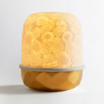 Led-Лампа Bernardaud Zinnias Or
