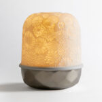 Led-Лампа Bernardaud Zinnias Argent