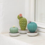 Диффузор Lladro Ferocactus Cactus Ферокактус Сады Валенсии