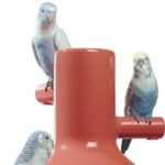 Ваза Lladro Parrot Parade Парад попугаев красная