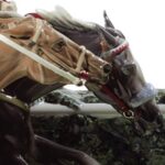 Скульптура Lladro At The Derby Дерби