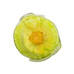 Чаша Daum Citrus на ножке